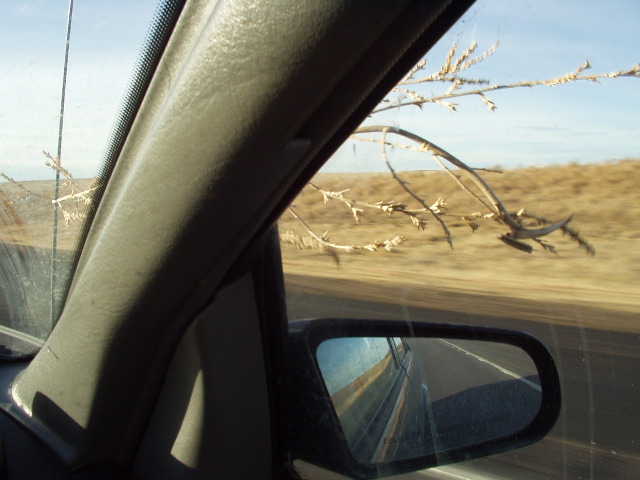 Tumbleweeds attacked us in eastern Wyoming.  Despite Cori's nimble navigation she couldn't help but him several.  One little guy left an appendage clinging to our antenna.