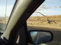 Tumbleweeds attacked us in eastern Wyoming.  Despite Cori's nimble navigation she couldn't help but hit several.  One little guy left an appendage clinging to our antenna.